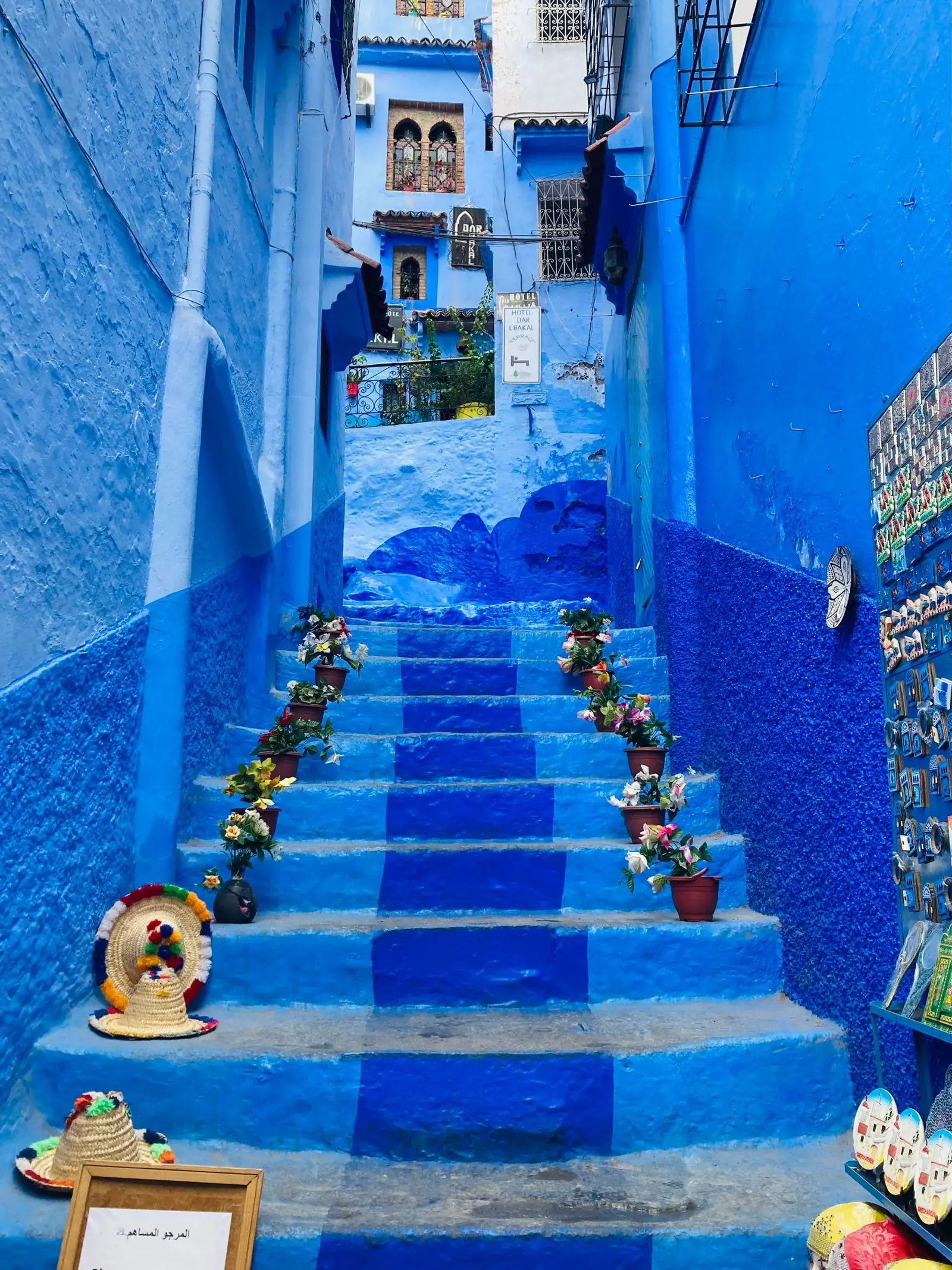 Bright blue stairs in a Chefchaouen alley, with plants in pots on the steps.