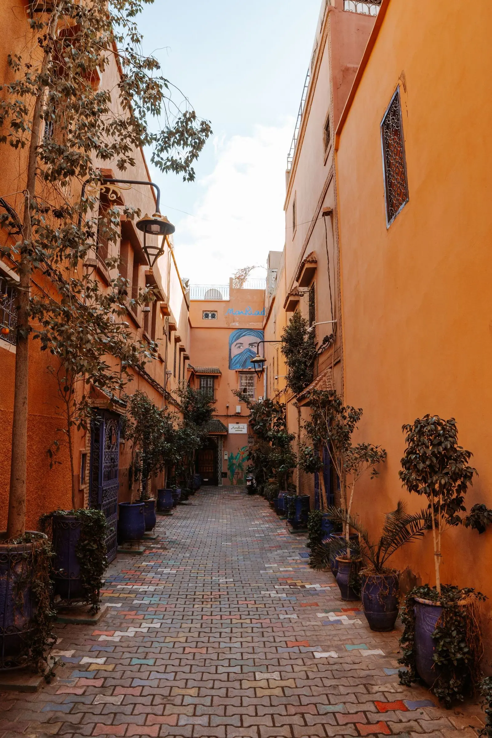 An ochre alley in the Marrakech medina, lined with trees in blue pots.