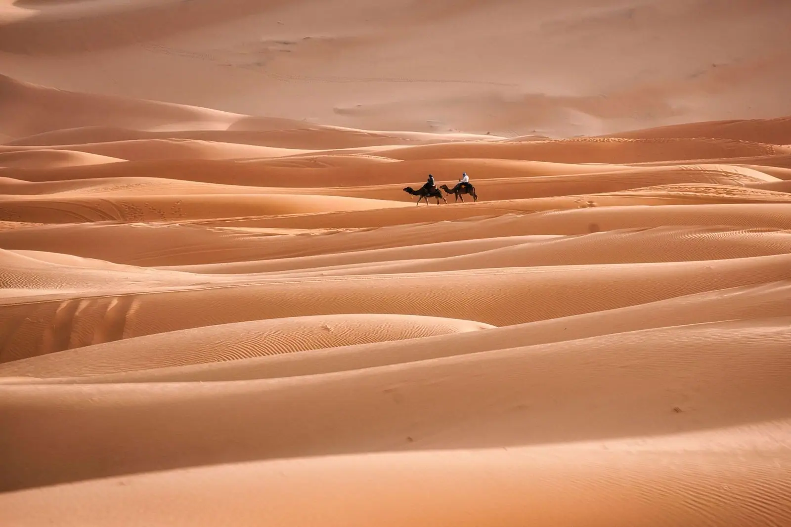 Wide orange dunes with two small camel riders near the middle distance.